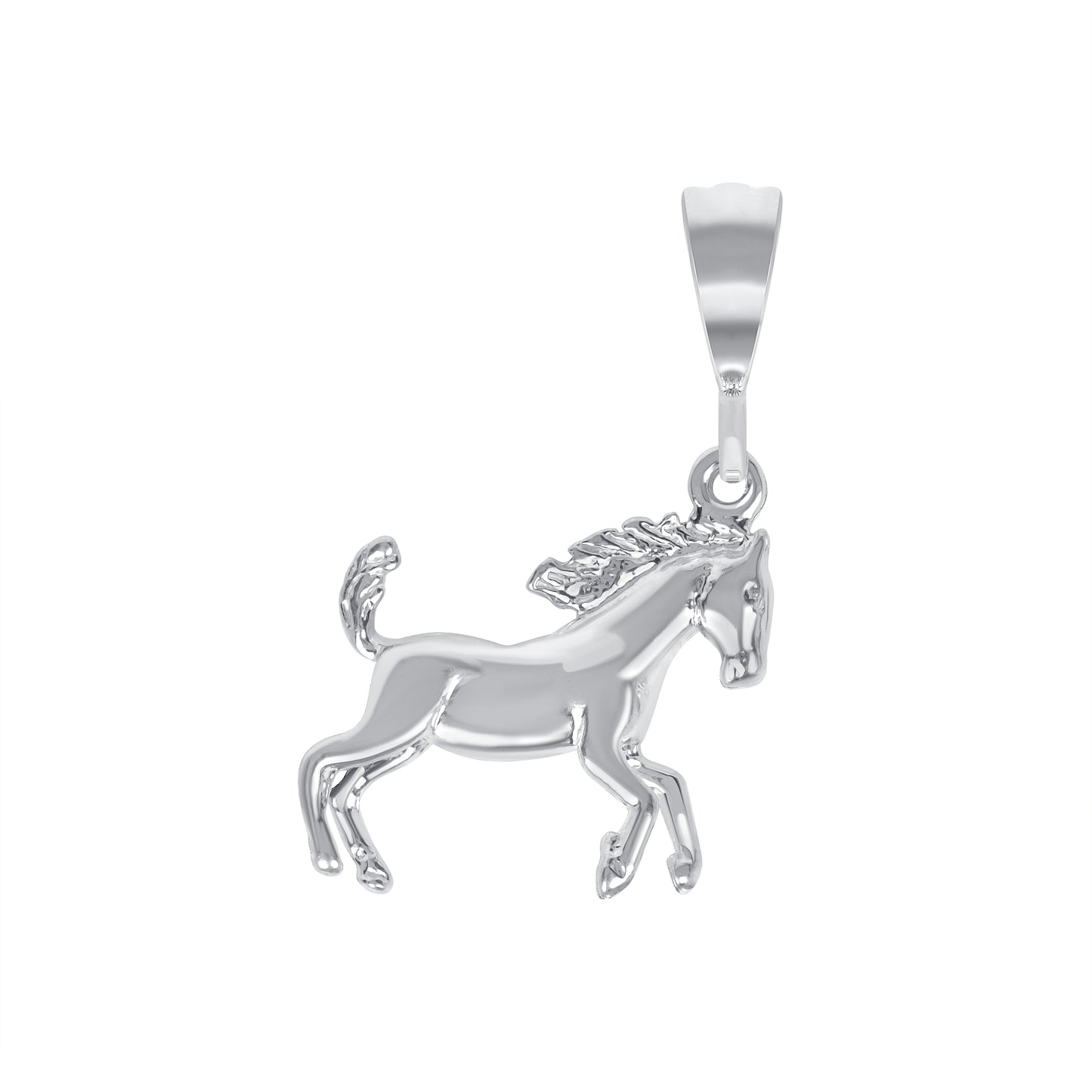 HORSE05