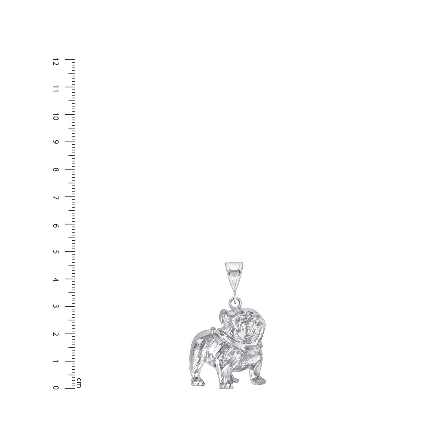 BULLDOG02